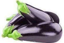 Ball Eggplant