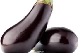 Ball Eggplant