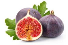 Fig